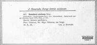 Image Associated With the Occurence